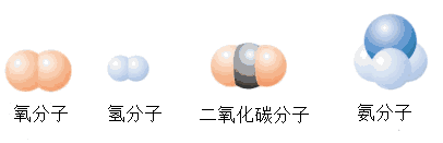 分子结构