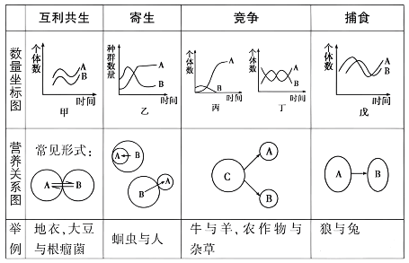 种间关系曲线