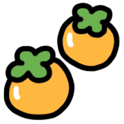 前言