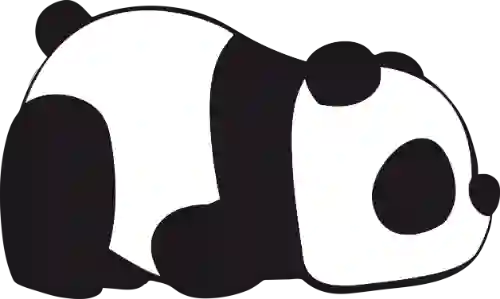 其他考点