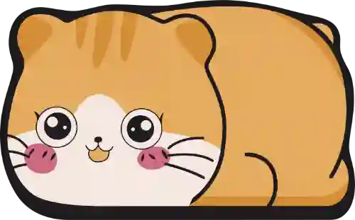 数量规律