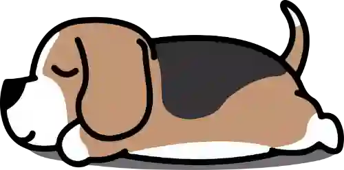 日常结论