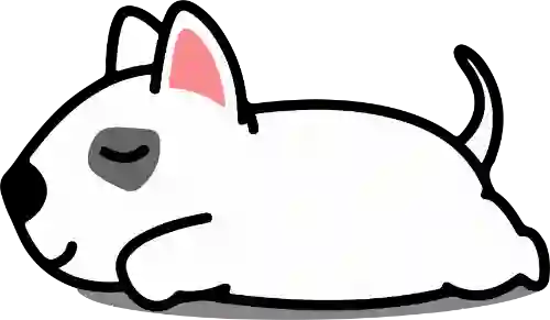 组合排列