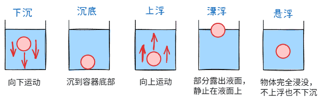 物体沉浮条件